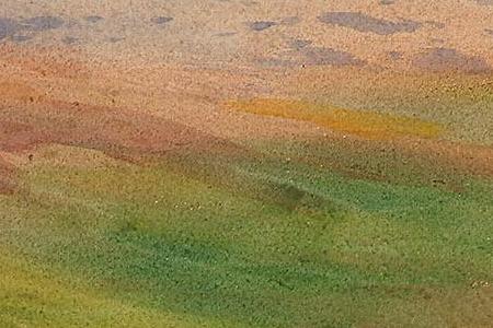 Фрагмент Красный глухарь в полете