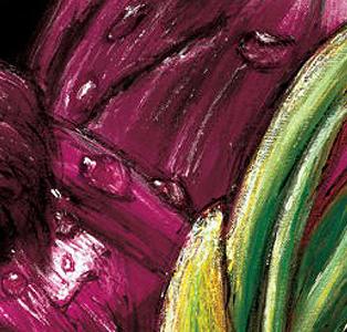 Фрагмент Красный лук