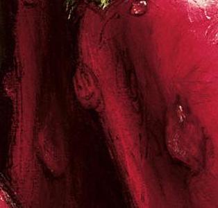 Фрагмент Красный перец