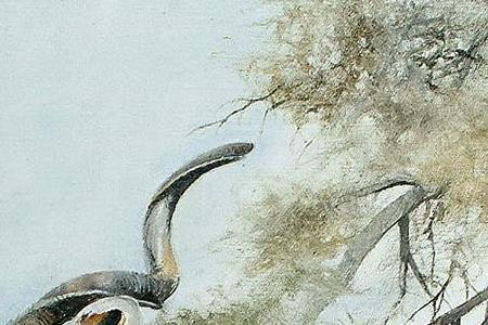 Фрагмент Kuch Buck