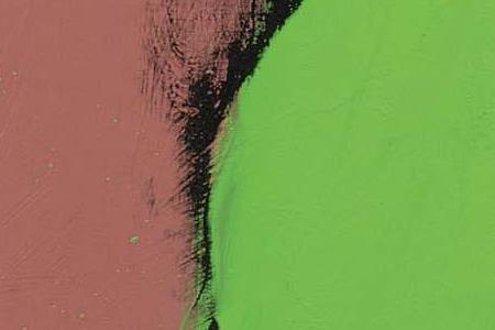 Фрагмент LADIES AND GENTLEMEN розово зеленый