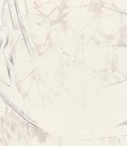 Фрагмент LADY