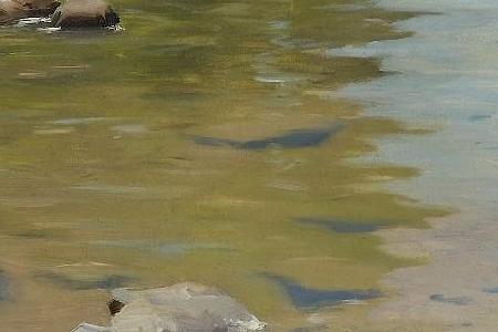 Фрагмент LAKE LEMAN, SWITZERLAND