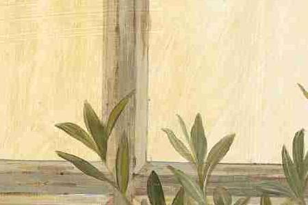 Фрагмент Lavander