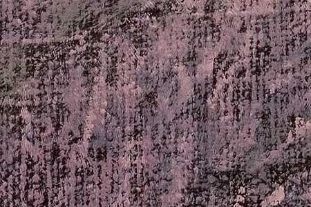 Фрагмент Lavender hills detail.