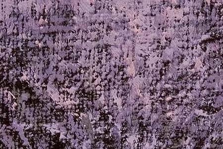 Фрагмент Lavender horizon detail.