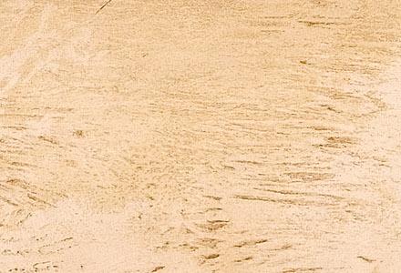 Фрагмент Le Chat Blanc.