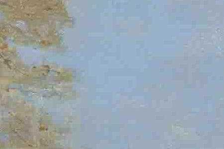 Фрагмент le grand lac vu du quai douchy