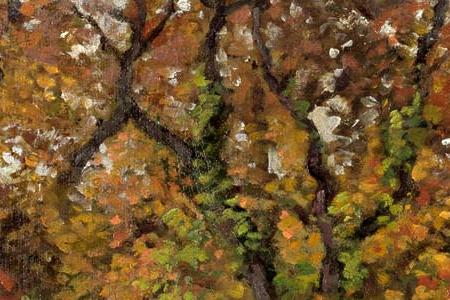 Фрагмент LE RU DE MONTBUISSON