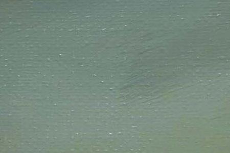 Фрагмент LE SPECTRE DE VERMEER DE DELFT