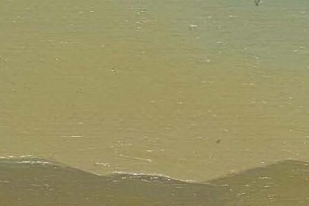 Фрагмент LE SPECTRE DE VERMEER DE DELFT