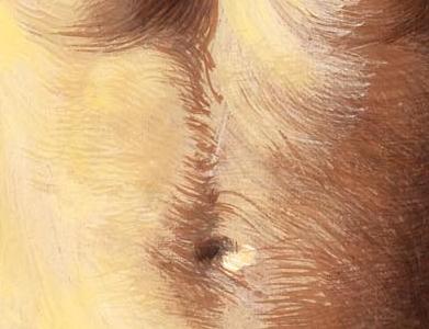 Фрагмент LE VIOL