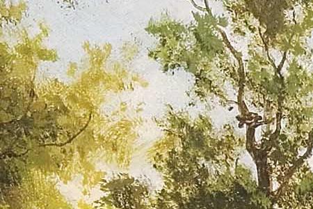 Фрагмент Лес. 1874.