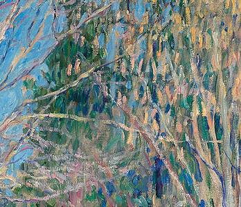 Фрагмент Лесная дорога