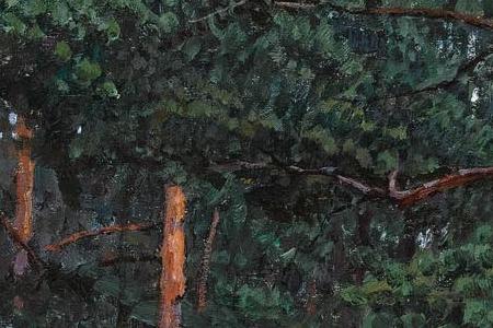 Фрагмент Лесная гладь