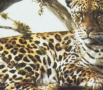 Фрагмент Light and shade II.