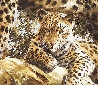 Фрагмент Light and shade II.