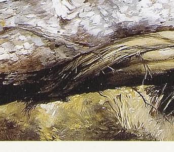 Фрагмент Light and shade II.