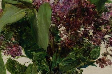 Фрагмент LILAS