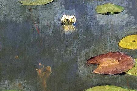 Фрагмент Лилии. Ненюфары