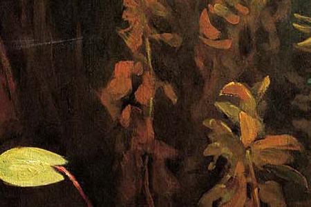 Фрагмент Лилии. Ненюфары