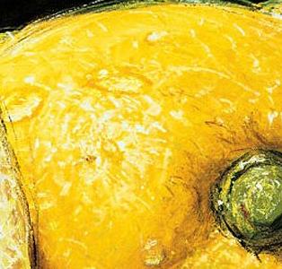 Фрагмент Лимон