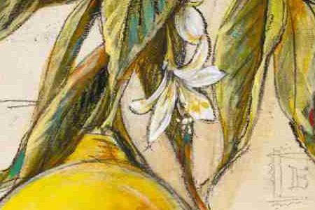 Фрагмент LIMONE