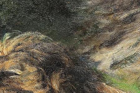 Фрагмент Lions