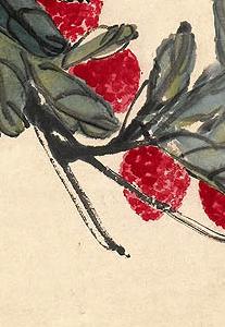 Фрагмент LITCHIS