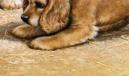 Фрагмент Litle Stinkers