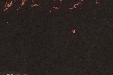 Фрагмент LIZ бордовый фон