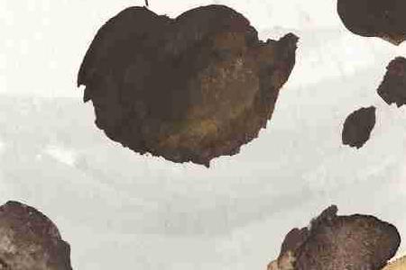 Фрагмент Лошадка