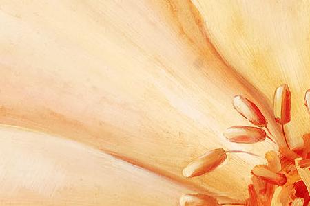 Фрагмент Магический цветок 1