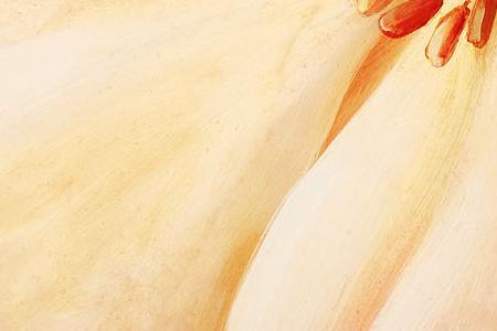 Фрагмент Магический цветок 1