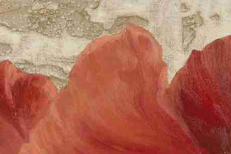 Фрагмент Мак 2