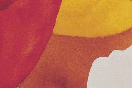 Фрагмент Маки