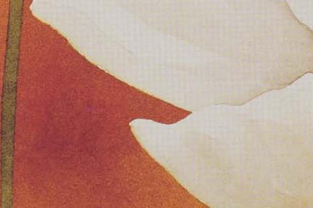 Фрагмент Маки