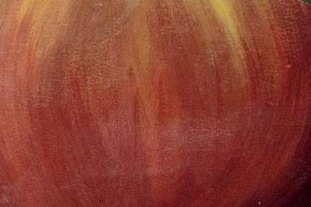 Фрагмент Malus Pumila.