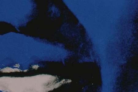 Фрагмент MAO с синим лицом на зеленом фоне