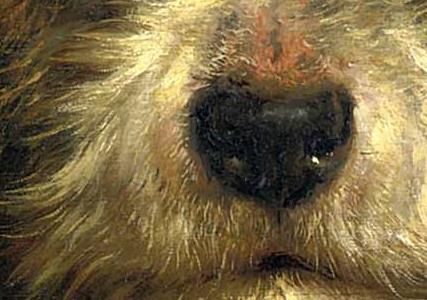 Фрагмент MARTIN A TERRIER