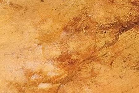 Фрагмент Merlot  Vineyard.