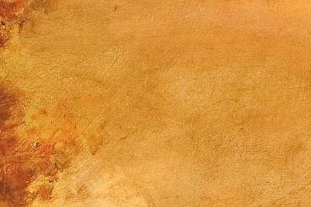 Фрагмент Merlot  Vineyard.