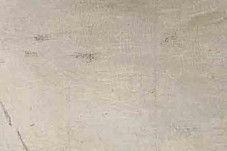 Фрагмент Moet Mme Galin devant le Jockey Club