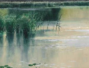 Фрагмент MONREPOS PARK