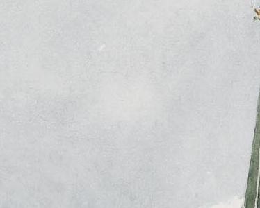 Фрагмент Moscow Kremlin the Kremlin from the Moskoretsky Bridge and the Trinity Gate