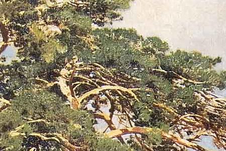 Фрагмент Мостик в лесу.1895.