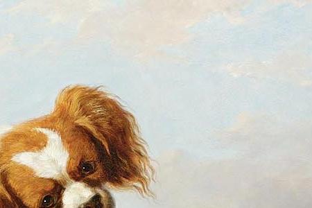 Фрагмент MR. J.  A. SANDILAND S KING CHARLES SPANIELS