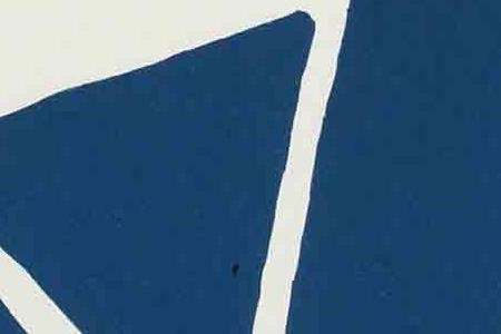 Фрагмент Мулен-де-ла-Галетт