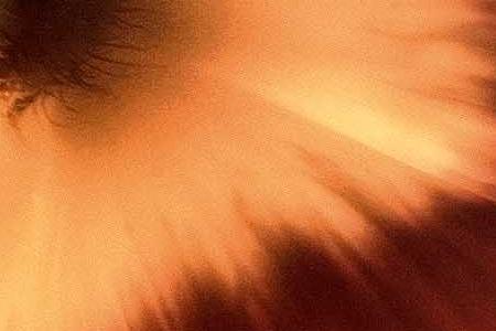 Фрагмент Mystic Poppies