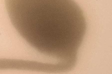 Фрагмент Mystic Poppies